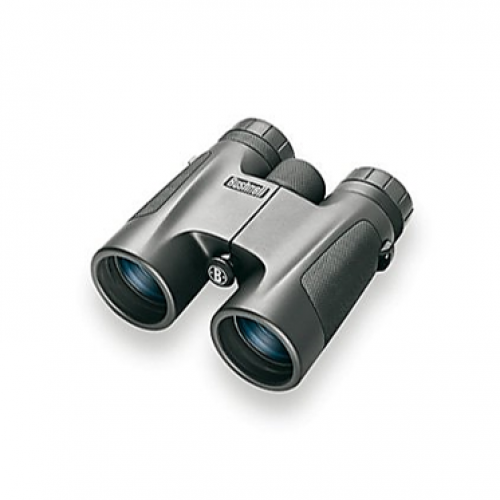 Bushnell Powerview 10x42