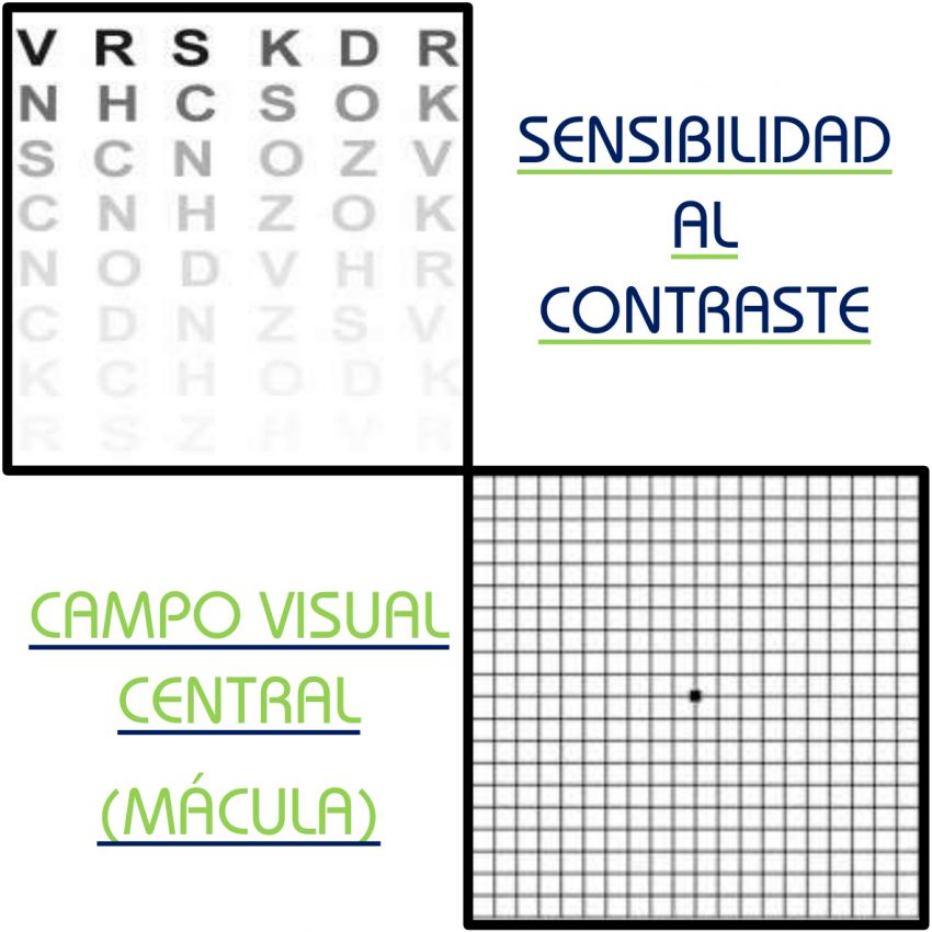 Campo Visual y Sensibilidad al contraste Campo Visual y Sensibilidad al contraste