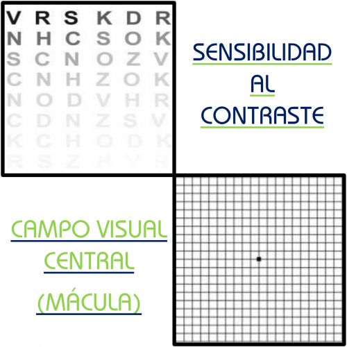 Campo Visual y Sensibilidad al contraste