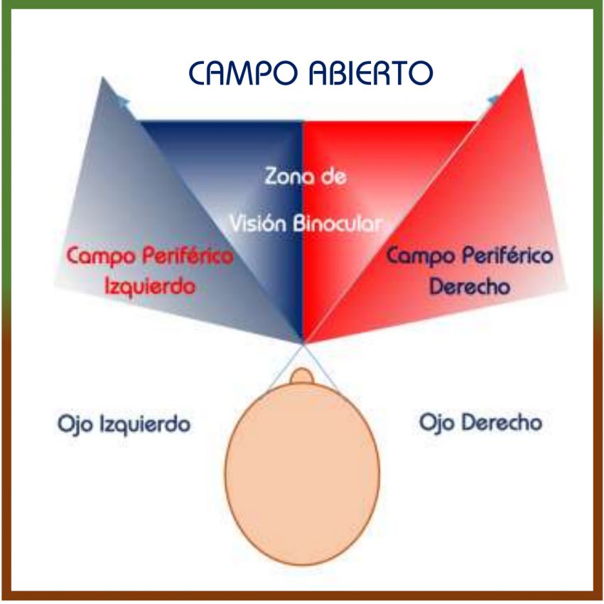 Ojo abiertos, o uno cerrado Ojo abiertos, o uno cerrado